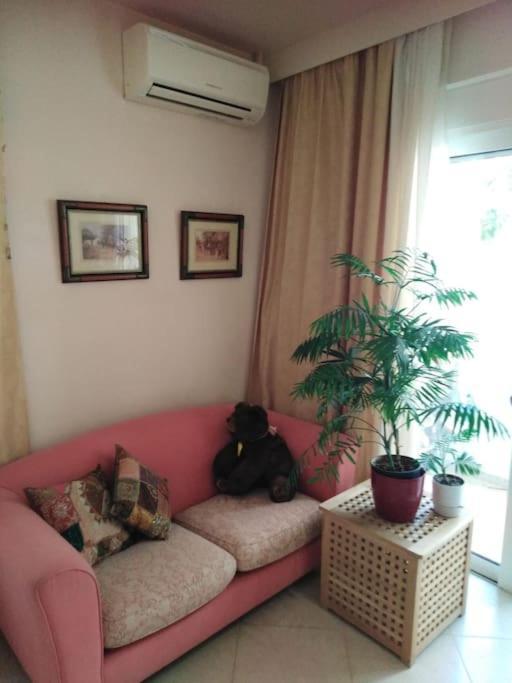 Annitas Luxury Oasis Appartment أثينا المظهر الخارجي الصورة