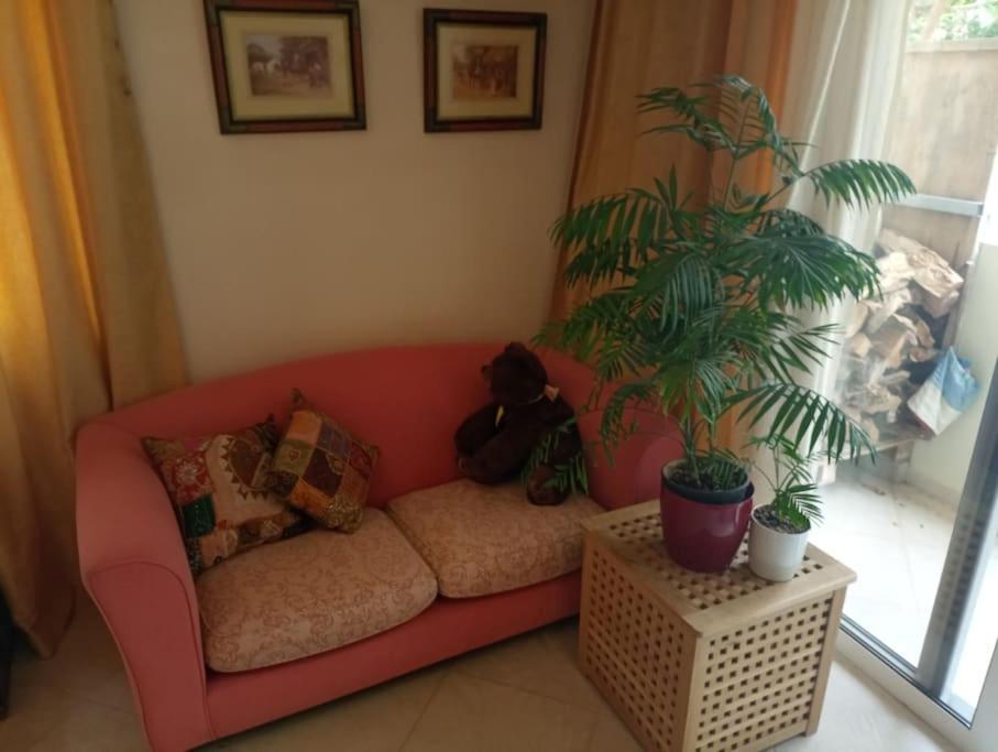 Annitas Luxury Oasis Appartment أثينا المظهر الخارجي الصورة
